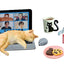 Re-ment Life with cats