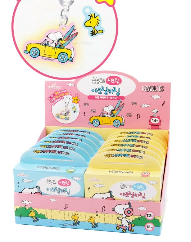 Snoopy Secret Acrylic Keychain Random