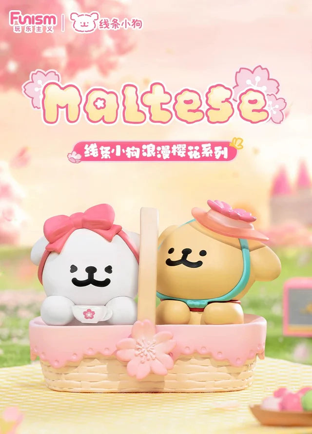 Maltese - Romantic Sakura