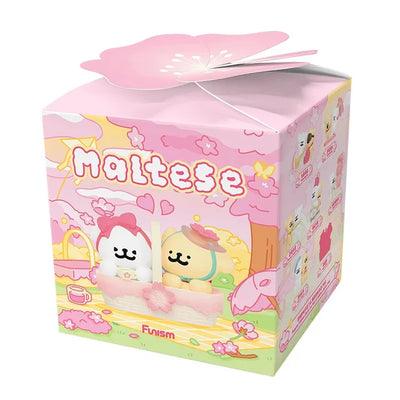 Maltese - Romantic Sakura
