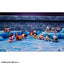 MEGA CAT PROJECT ONE PIECE NYAN PIECE NYAN! Luffy & Summit War Arc