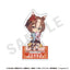 Uma Musume Cinderella Gray LoveIt! Series Trading Mini Acrylic Stand