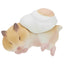 Hamster ‘N Egg Blind Box Version 2