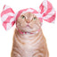 Cat Cap Blind Box (Candy)