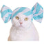 Cat Cap Blind Box (Candy)