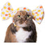 Cat Cap Blind Box (Candy)