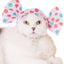 Cat Cap Blind Box (Candy)