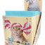 Cat Cap Blind Box (Candy)