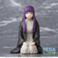 Frieren: Beyond Journey's End PM Perching Figure "Fern" ~Binding Spell~