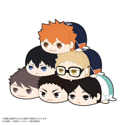 Haikyu!! Pote Koro Mascot