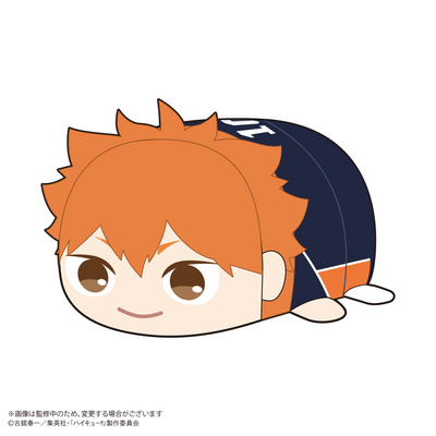Haikyu!! Pote Koro Mascot