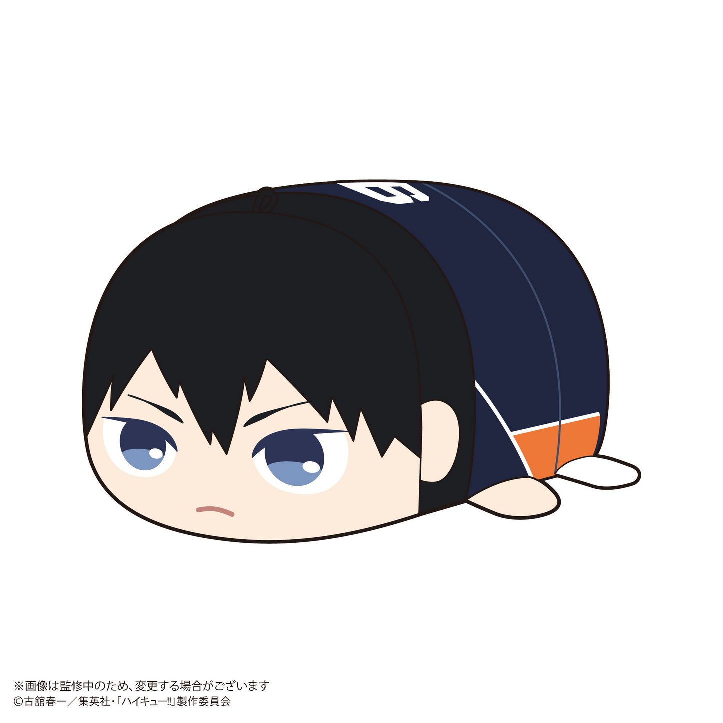 Haikyu!! Pote Koro Mascot