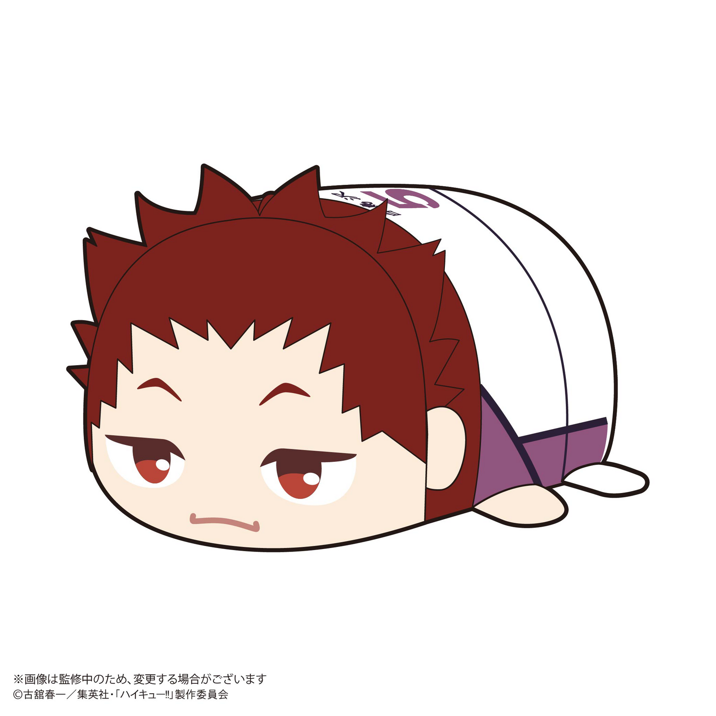 Haikyu!! POTE KORO MASCOT 2