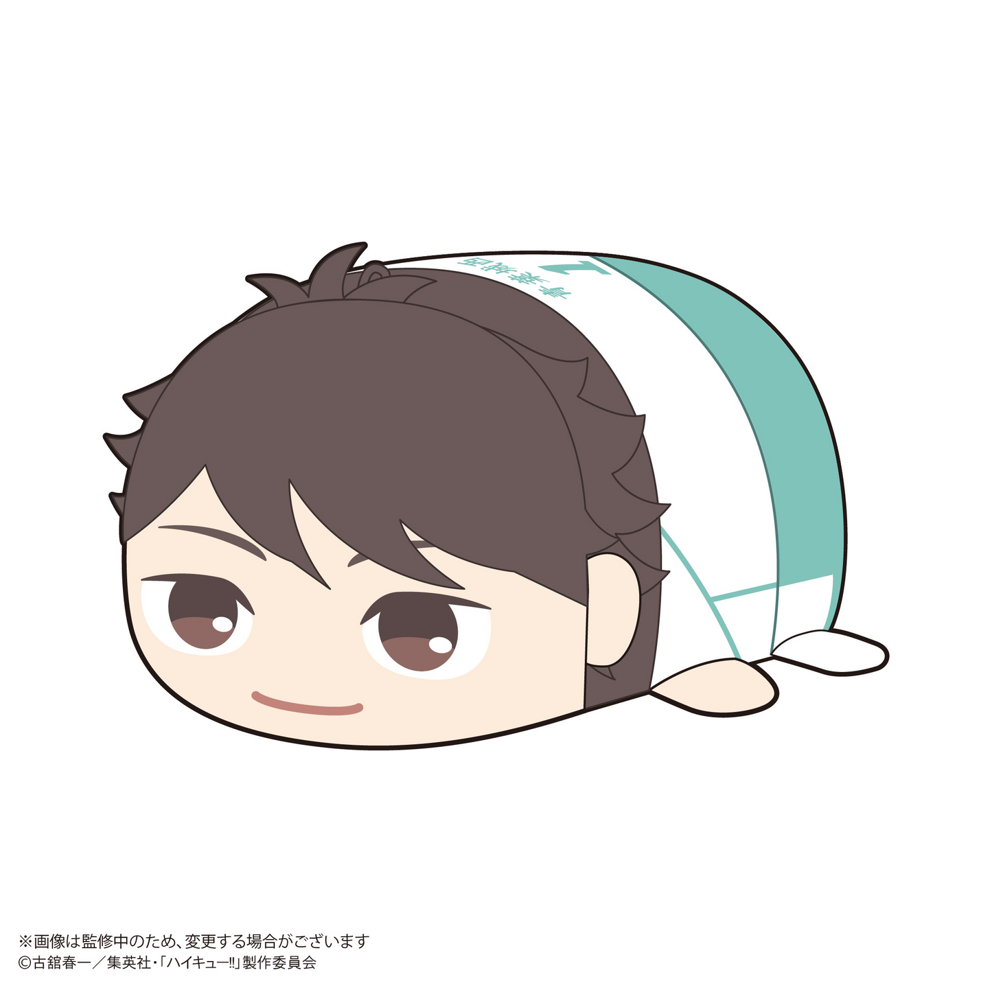 Haikyu!! Pote Koro Mascot