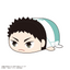 Haikyu!! Pote Koro Mascot