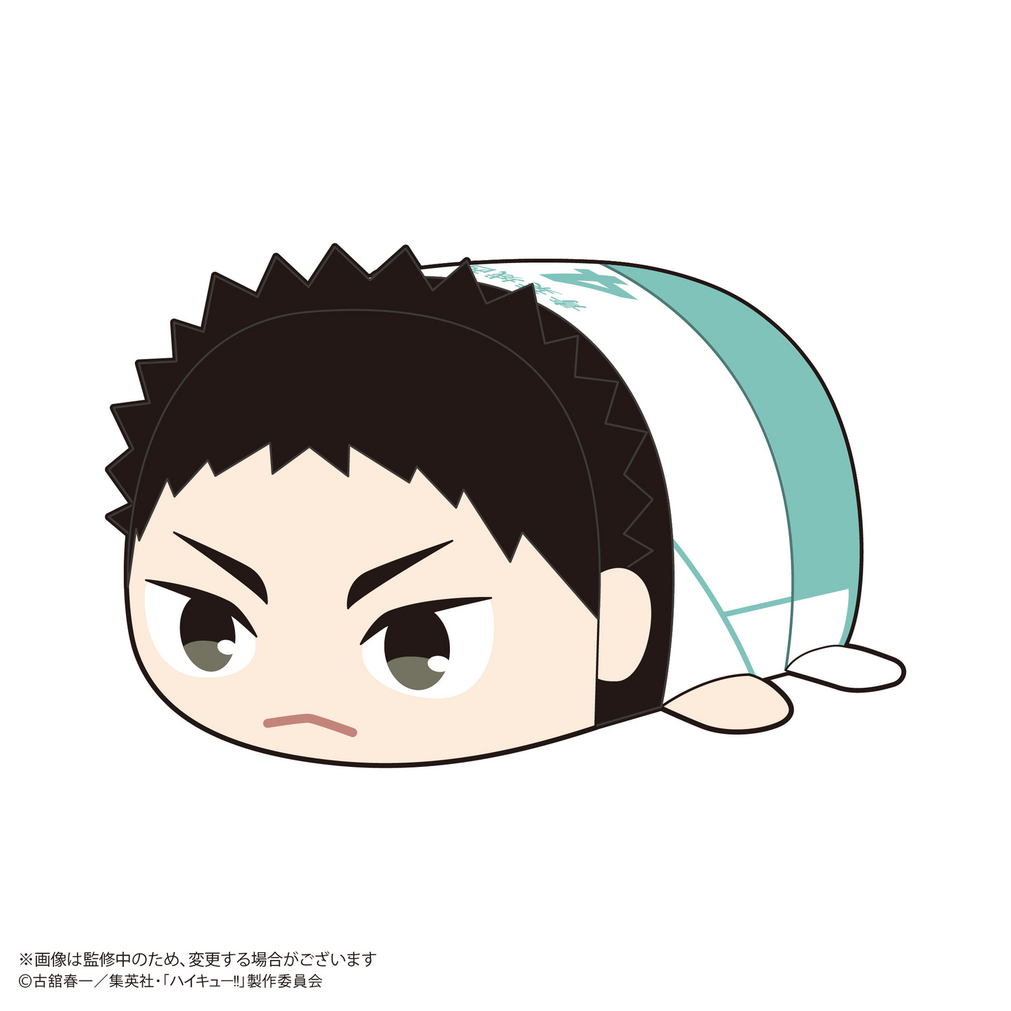 Haikyu!! Pote Koro Mascot