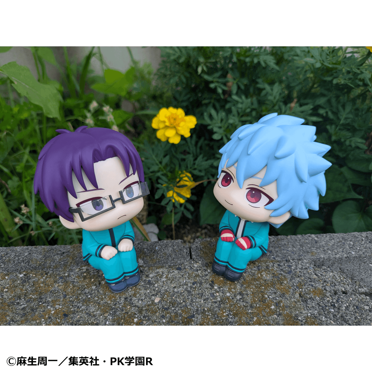 (Pre-Order) Lookup The Disastrous Life of Saiki K. Shun Kaido & Aren Kuboyasu set [with gift]