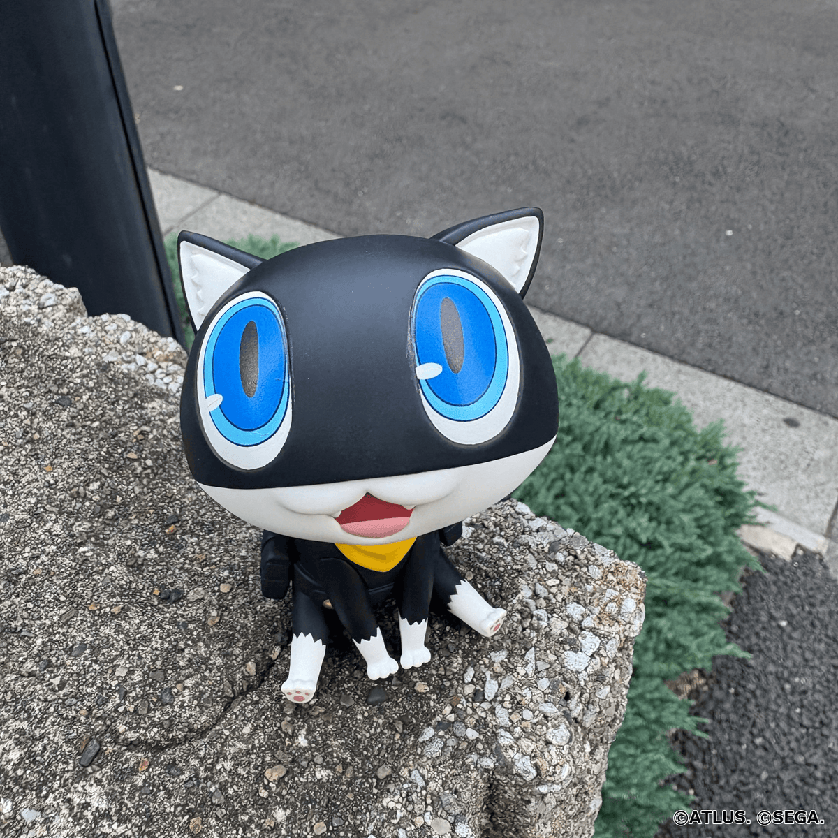 (Pre-Order) Lookup Persona 5 the Royal Morgana