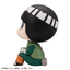 (Pre-Order) Lookup NARUTO Shippuden Rock Lee