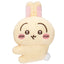 Chiikawa Clip Plush vol.2 Blind Box