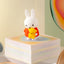 Smoko Miffy Doing Things Blind Box