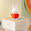 Smoko Miffy Doing Things Blind Box