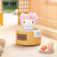 Sanrio Family Rotary Hot Spring Figure Blind Box