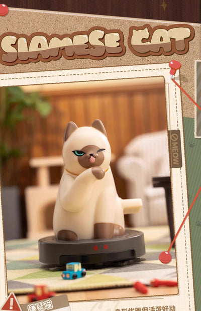 QUE SERA Series - IROBOCAT
